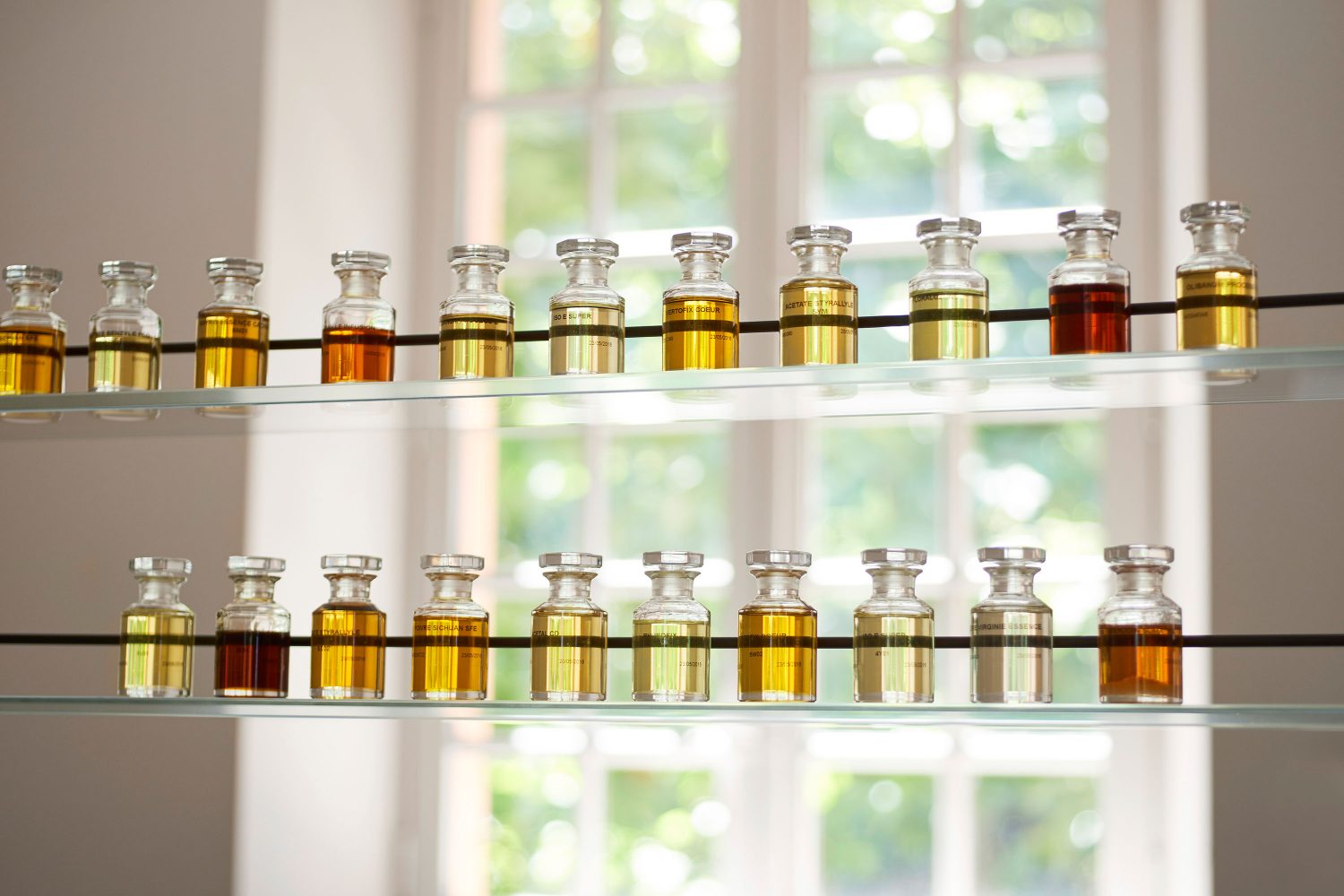 Tina Hillier Perfume House of Dior  