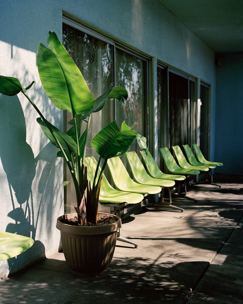 Tina Hillier California  
